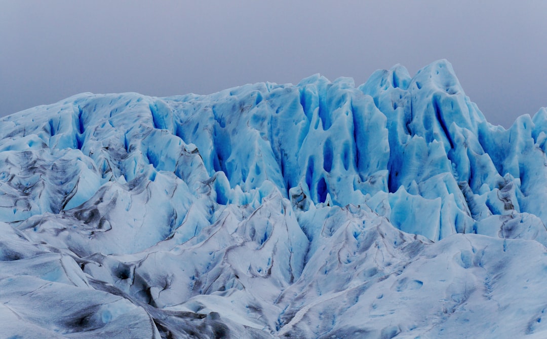 Photo Ice Sculpture