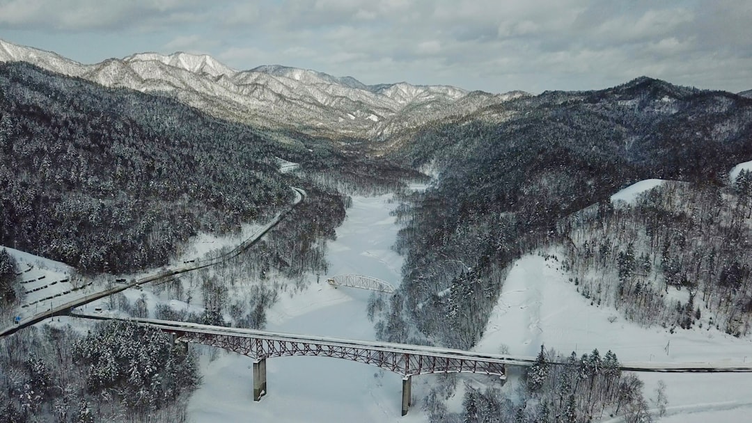 Feather Snow Road USA: A Winter Wonderland Adventure